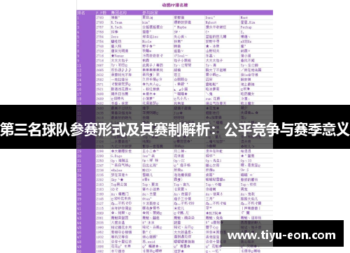 第三名球队参赛形式及其赛制解析:公平竞争与赛季意义 第三名球队参赛形式及其赛制解析:公平竞争与赛季意义